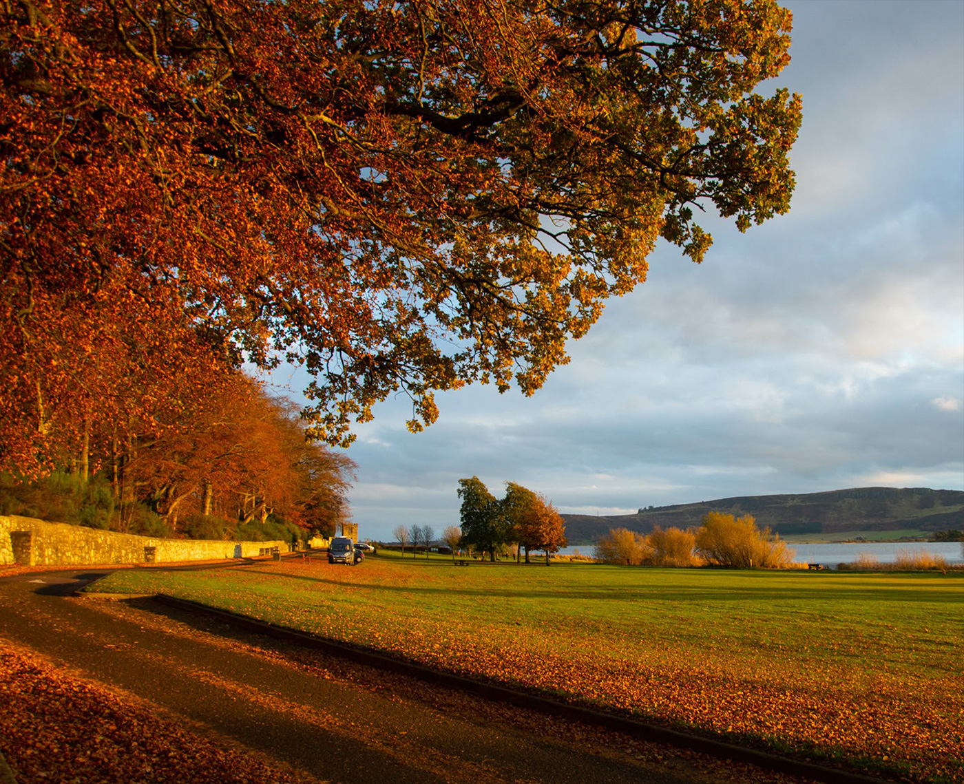Autumn View