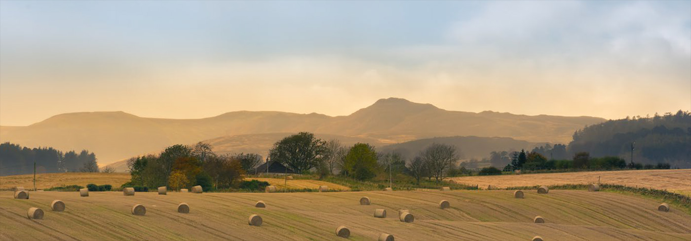 Perth and Kinross region